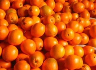 安徽雪坊水果冷库设计柑橘保鲜方法。
