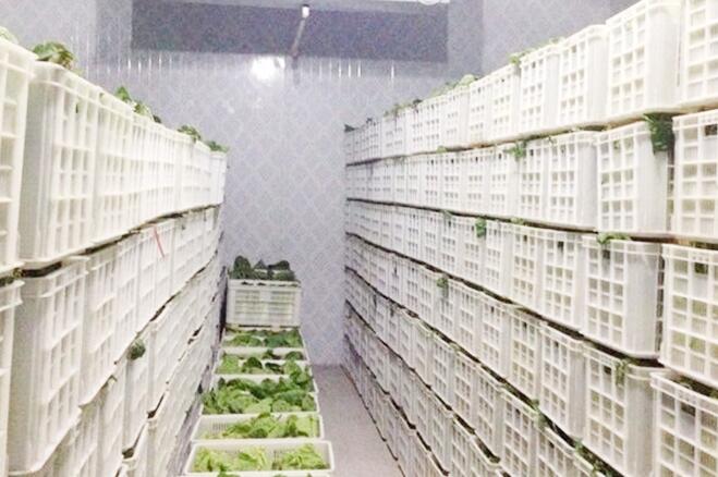 蔬菜保鲜冷库存储技术及保鲜期限，由安徽冷库厂家来解释